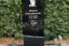Ahlen-Einzelgrab-Black-Granit-poliert-Herz-Ornament-eingearbeitet