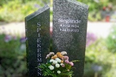 Guetersloh-Einzelgrab-Steel-Gey-poliert