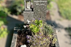 Herzebrock-Urnengrab-Steel-grey-Granit-poliert