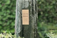Muenster-Einzelwahlgrab-Serpentin-naturbelassen