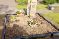 Sassenberg-Doppelgrab-Muschelkalk-und-Premium-Impala-in-matt-Bronze-Engel-Pusteblume