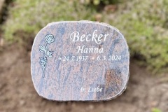 Werther-Doppelgrab-Barap-Granit-poliert-Ornament-Rose-nach-Vorlage