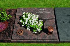 rickel_fdw0560_bea_2013