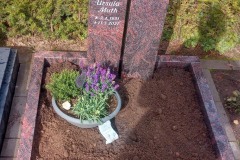 Warendorf, Urnengrab Denkmal mit Ornament Lebensbaum und Einfassung