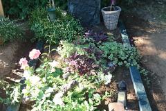 Gescher Einzelstein Bronuzeschrift Einfassung