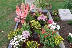 Harsewinkel Zweiteiler Engel