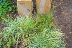 Ev. Hann, Urnendoppelgrab Doppelstele mit Laterne, Ornament Hundepfote und Bronzevogel