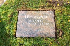 Sieker, Rasemurnenwahlgrab Kissenstein mit Vögel Ornament