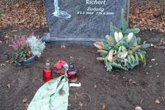 Spexard, Breitstein, Baum mit Bank