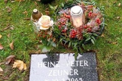 Herzfeld-Abdeckplatte