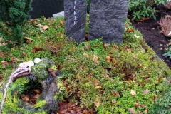 Avenwedde, Dopelgrab mit Ornament