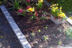 Lengerich, Grabstein mit Rose und Einfassung