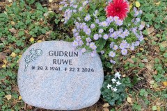 Steinhagen-EInzelgrab-Barap-Granit-gebrannt-Ornament-Rose-vertieft-leicht-schattiert