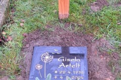 Warendorf-Rasengrab-Black-Granit-poliert-2-Pusteblumen-mit-3-Voegeln